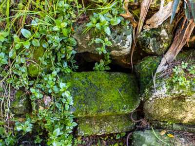 ...che chiudono un�apertura nella roccia. Si tratta di una grotta sotterranea menzionata nell�originario atto di acquisto dei terreni del 1880, ma purtroppo non perlustrabile